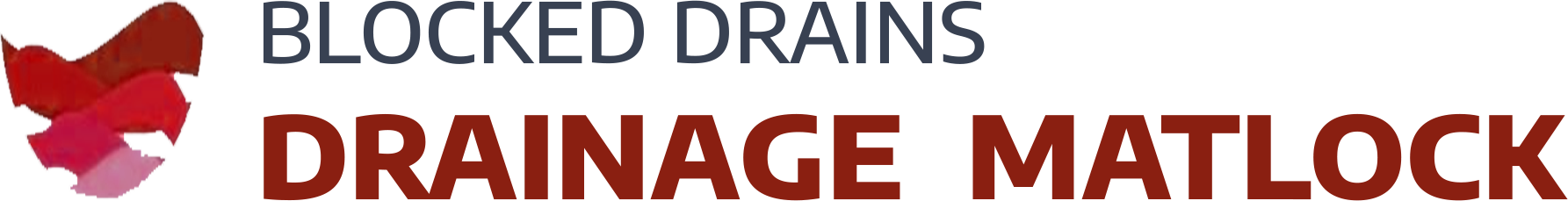 website logo